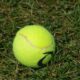 Wimbledon 2025