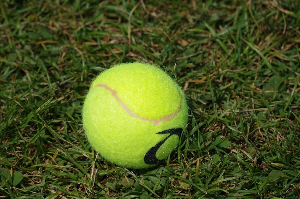 Wimbledon 2025